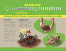 Calendario2021_RainforestAlliance_junio
